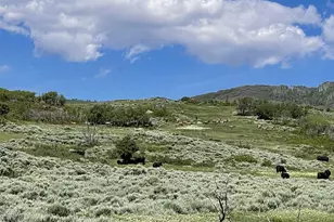 22000 P77 Rd Rd, Cimarron, CO 81220 - Photo 28