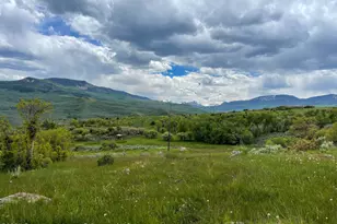 22000 P77 Rd Rd, Cimarron, CO 81220 - Photo 14