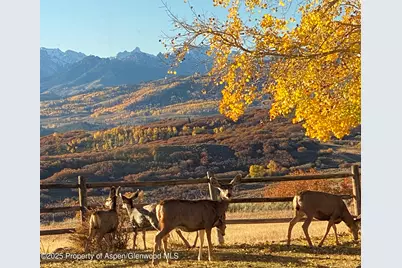 22000 P77 Rd Road, Cimarron, CO 81220 - Photo 36