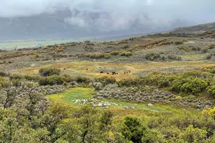 22000 P77 Rd Rd, Cimarron, CO 81220 - Photo 20