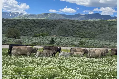 22000 P77 Rd Road, Cimarron, CO 81220 - Photo 16