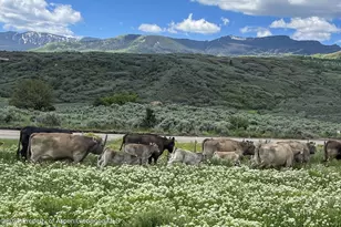 22000 P77 Rd Rd, Cimarron, CO 81220 - Photo 16