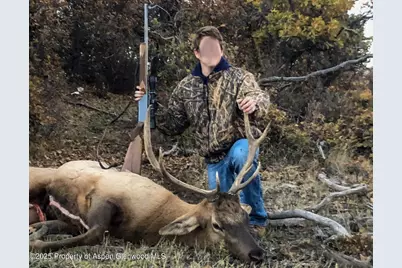 22000 P77 Rd Road, Cimarron, CO 81220 - Photo 30