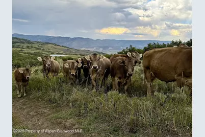 22000 P77 Rd Road, Cimarron, CO 81220 - Photo 26