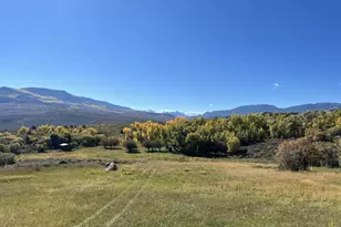 22000 P77 Rd Rd, Cimarron, CO 81220 - Photo 22