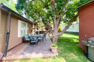 5033 Co Rd 335, New Castle, CO 81647 - Photo 4