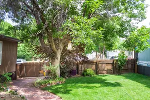 5033 Co Rd 335, New Castle, CO 81647 - Photo 6