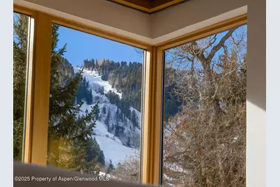 1006 E Cooper Avenue, Aspen, CO 81611 - Photo 8