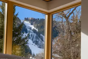 1006 E Cooper Ave, Aspen, CO 81611 - Photo 8