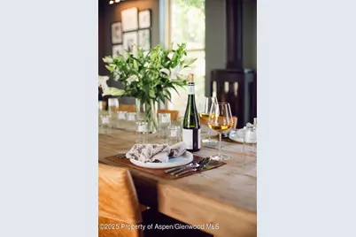 1006 E Cooper Avenue, Aspen, CO 81611 - Photo 20