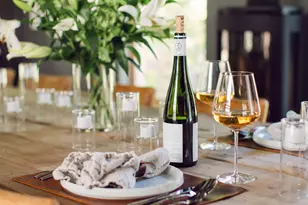 1006 E Cooper Ave, Aspen, CO 81611 - Photo 20