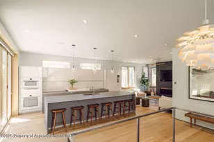 1006 E Cooper Ave, Aspen, CO 81611 - Photo 26