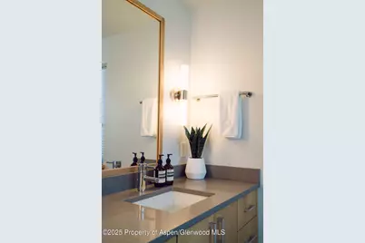 1006 E Cooper Avenue, Aspen, CO 81611 - Photo 52