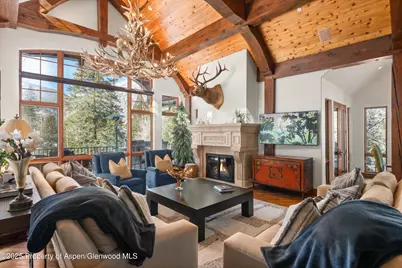 180 Exhibition Lane, Aspen, CO 81611 - Photo 6