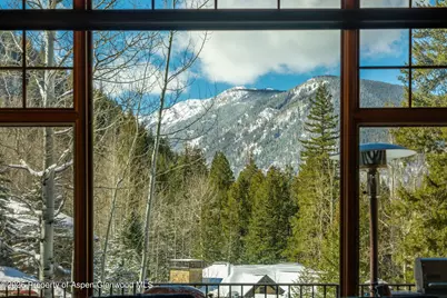 180 Exhibition Lane, Aspen, CO 81611 - Photo 28