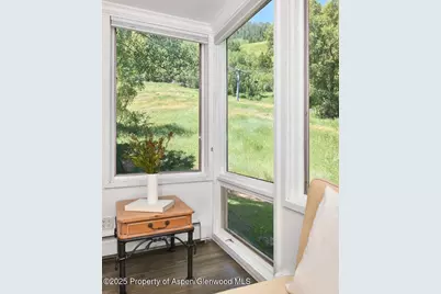 800 S Monarch Street #13, Aspen, CO 81611 - Photo 8