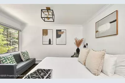 800 S Monarch Street #13, Aspen, CO 81611 - Photo 10