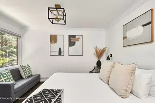 800 S Monarch St, Aspen, CO 81611 - Photo 10