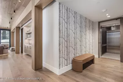 180 Wood Road #402, Snowmass Village, CO 81615 - Photo 24