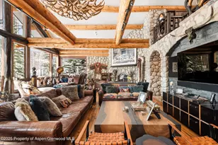 303 Conundrum Creek Rd, Aspen, CO 81611 - Photo 10