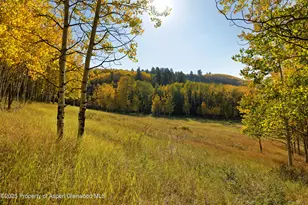 1833 W Buttermilk Rd, Aspen, CO 81611 - Photo 16
