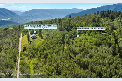 1833 West Buttermilk Road, Aspen, CO 81611 - Photo 4