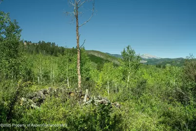 1833 West Buttermilk Road, Aspen, CO 81611 - Photo 10