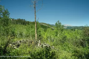 1833 W Buttermilk Rd, Aspen, CO 81611 - Photo 10