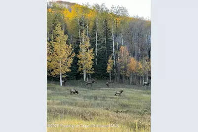1833 West Buttermilk Road, Aspen, CO 81611 - Photo 8