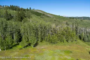 1833 W Buttermilk Rd, Aspen, CO 81611 - Photo 18