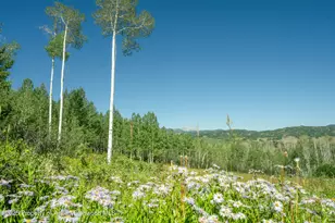 1833 W Buttermilk Rd, Aspen, CO 81611 - Photo 2