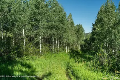 1833 West Buttermilk Road, Aspen, CO 81611 - Photo 14