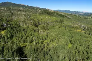 1833 W Buttermilk Rd, Aspen, CO 81611 - Photo 16