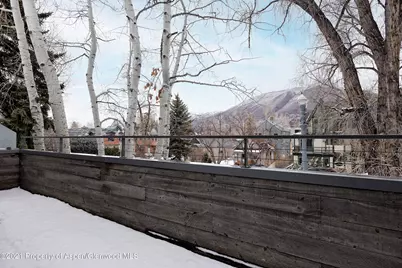 1001 E Cooper Avenue #2, Aspen, CO 81611 - Photo 18
