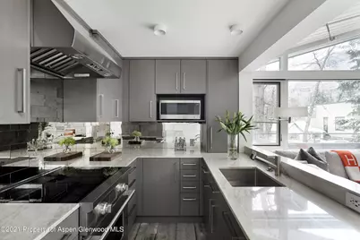 1001 E Cooper Avenue #2, Aspen, CO 81611 - Photo 4