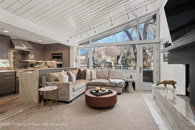 1001 E Cooper Avenue #2, Aspen, CO 81611 - Photo 2