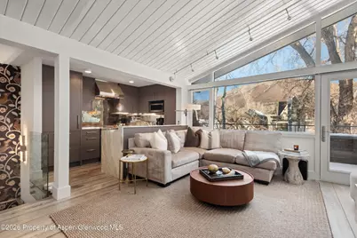 1001 E Cooper Avenue #2, Aspen, CO 81611 - Photo 4