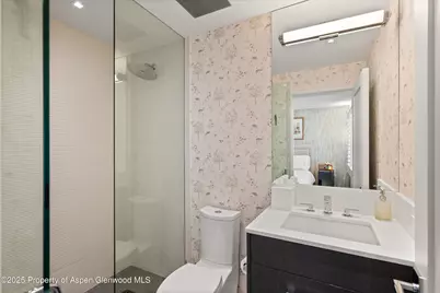 1001 E Cooper Avenue #2, Aspen, CO 81611 - Photo 14