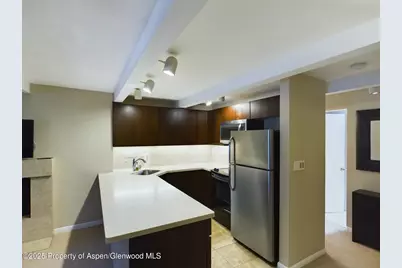 601 S S West End Street #7, Aspen, CO 81611 - Photo 8