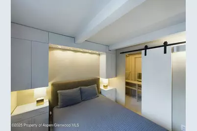 601 S S West End Street #7, Aspen, CO 81611 - Photo 10
