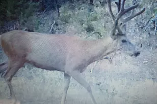 56001 KK Rd, Molina, CO 81646 - Photo 38