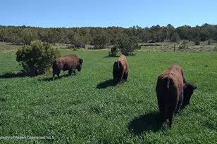 56001 KK Rd, Molina, CO 81646 - Photo 40