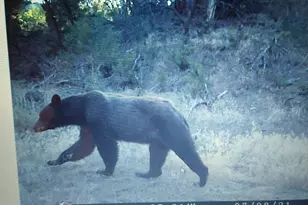 56001 KK Rd, Molina, CO 81646 - Photo 42