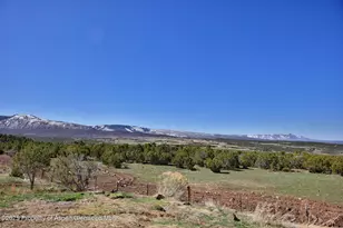 56001 KK Rd, Molina, CO 81646 - Photo 18