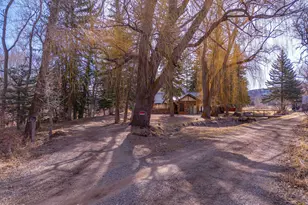 0044 Hooks Ln, Basalt, CO 81621 - Photo 12