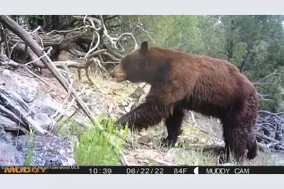 Tbd Tbd, Mesa, CO 81643 - Photo 18