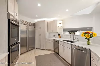 699 Eppley Drive, Aspen, CO 81611 - Photo 14