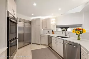 699 Eppley Dr, Aspen, CO 81611 - Photo 14