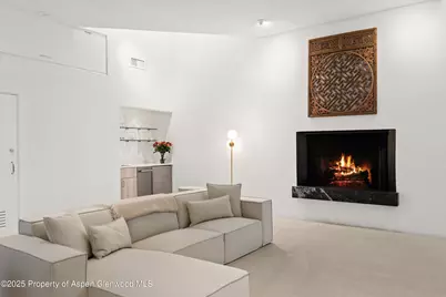 699 Eppley Drive, Aspen, CO 81611 - Photo 22