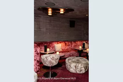 550 S Spring Street #Commercial, Aspen, CO 81611 - Photo 12